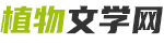 优质好看小说阅读推荐