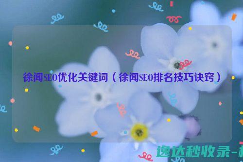 徐闻SEO优化关键词（徐闻SEO排名技巧诀窍）_SEO优化