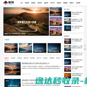 撸它吧宠物知识分享
