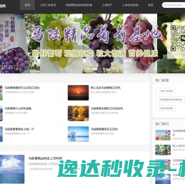 马陆葡萄采摘