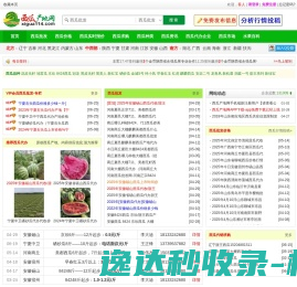 西瓜产地网